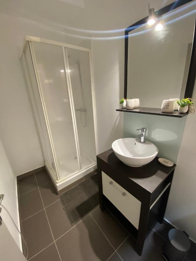 Appartamento Le Patio St Etienne - Cite Episcopale - Parking Inclus Albi
